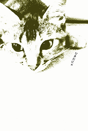年賀状 にゃん賀状 猫の年賀状 猫 写真 テンプレート 2021 無料