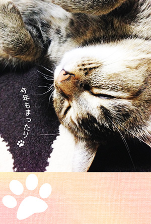 年賀状 にゃん賀状 猫の年賀状 猫 写真 テンプレート 2021 無料