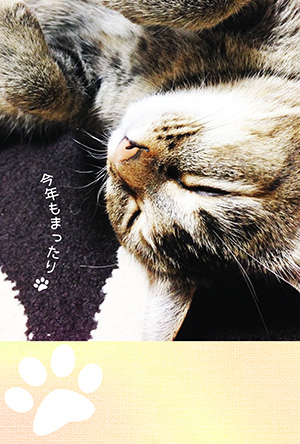 年賀状 にゃん賀状 猫の年賀状 猫 写真 テンプレート 2021 無料