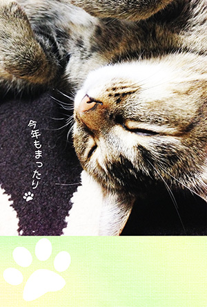 年賀状 にゃん賀状 猫の年賀状 猫 写真 テンプレート 2021 無料