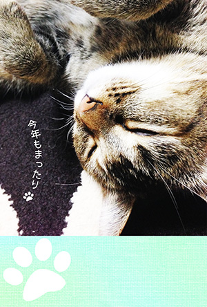 年賀状 にゃん賀状 猫の年賀状 猫 写真 テンプレート 2021 無料