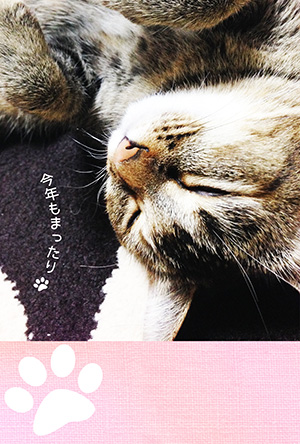 年賀状 にゃん賀状 猫の年賀状 猫 写真 テンプレート 2021 無料