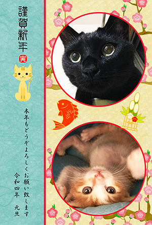 猫 フォトフレーム 写真フレーム 年賀状 テンプレート 無料年賀状 にゃん賀状 干支 寅年 虎 とら 令和4年 2022 無料