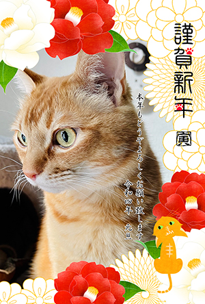 猫 フォトフレーム 写真フレーム 年賀状 テンプレート 無料年賀状 にゃん賀状 干支 寅年 虎 とら 令和4年 2022 無料