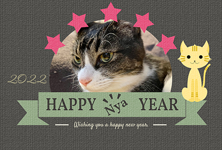 猫 フォトフレーム 写真フレーム 年賀状 テンプレート 無料年賀状 にゃん賀状 干支 寅年 虎 とら 令和4年 2022 無料
