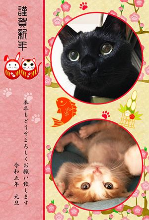 猫 フォトフレーム 卯年 兎 うさぎ 令和5年 2023 写真フレーム 年賀状 テンプレート 無料年賀状 にゃん賀状 干支 無料