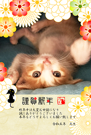 猫 写真フレーム フォトフレーム 年賀状 にゃん賀状 猫の年賀状 無料年賀状 卯年 兎 うさぎ 令和5年 2023 無料