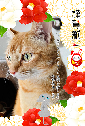 猫 写真フレーム フォトフレーム 年賀状 にゃん賀状 猫の年賀状 無料年賀状 卯年 兎 うさぎ 令和5年 2023 無料
