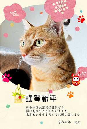猫 写真フレーム フォトフレーム 年賀状 にゃん賀状 猫の年賀状 無料年賀状 卯年 兎 うさぎ 令和5年 2023 無料