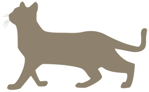 年賀状 にゃん賀状 猫の年賀状 シルエット 猫 イラスト 素材 フリー素材 無料