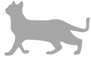 年賀状 にゃん賀状 猫の年賀状 シルエット 猫 イラスト 素材 フリー素材 無料