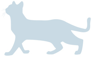 年賀状 にゃん賀状 猫の年賀状 シルエット 猫 イラスト 素材 フリー素材 無料