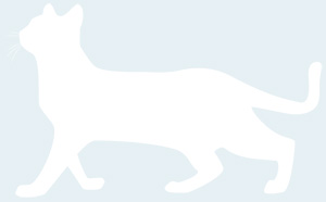 年賀状 にゃん賀状 猫の年賀状 シルエット 猫 イラスト 素材 フリー素材 無料
