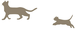 年賀状 にゃん賀状 猫の年賀状 シルエット 猫 子猫 親子 イラスト 素材 フリー素材 無料